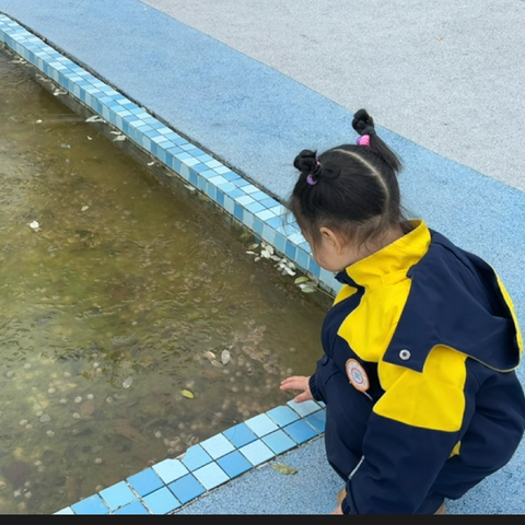 【课程故事】你好！冬天——富丹友谊幼儿园小四班