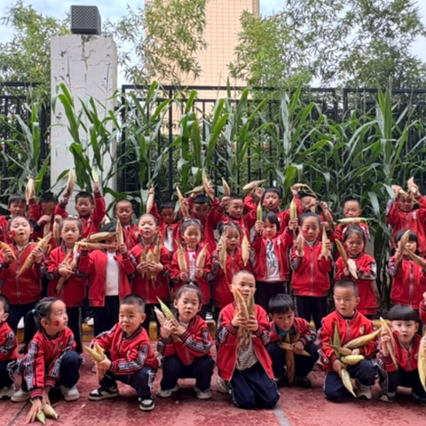 【课程故事】关于秋天的那些事儿——富丹友谊幼儿园中四班