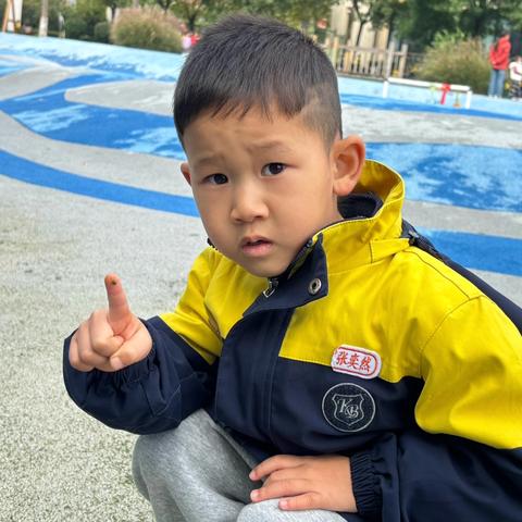 【课程故事】一起趣探“藓”——富丹友谊幼儿园中四班