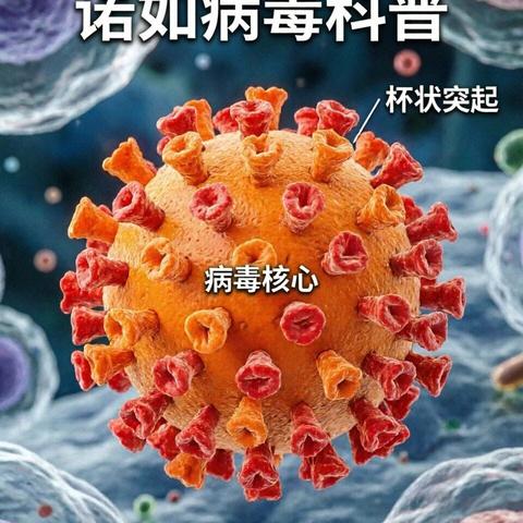 诺如病毒防控指南，请各位家长 同学查收！