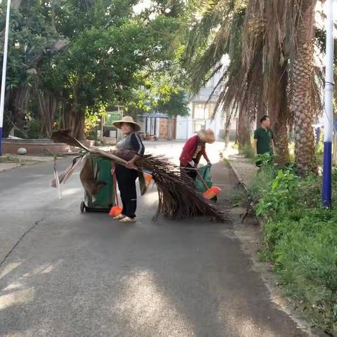 整治环境卫生，营造美丽家园——大丰镇持续开展环境卫生整治工作