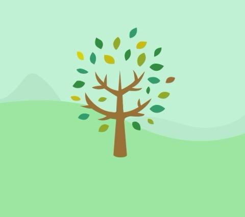 淡村镇中心幼儿园大二班第五周精彩回顾