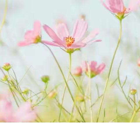 等风来～～🤔不如去追风😋 朱集镇王猛幼儿园“采集春天”主题活动