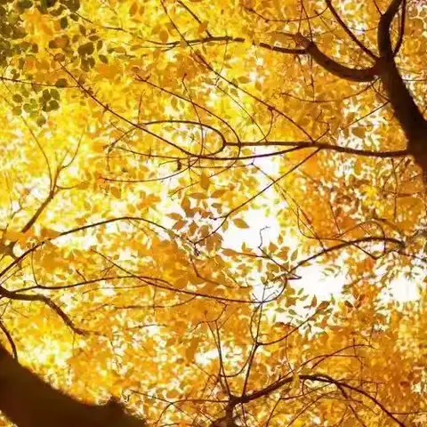 23机电一班第十七周