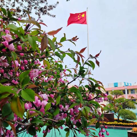 聚焦新课标学习  助力专业成长——东小数学学科新课标学习活动