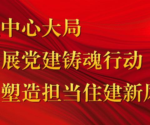躬行实干  砥砺前行 ——鄱阳县住建局12月份创卫周报（一）
