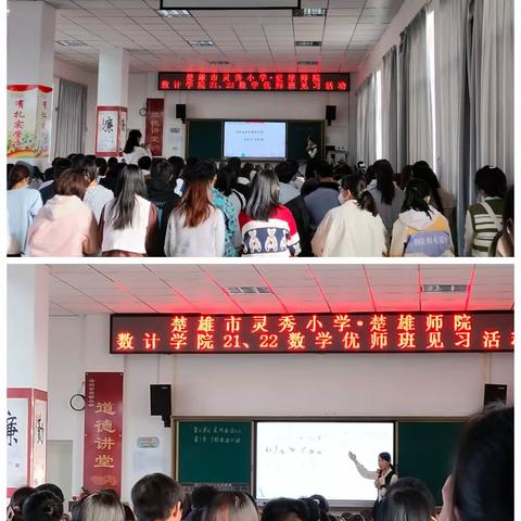 楚雄市灵秀小学实习周记简报——11月6日至11月12日