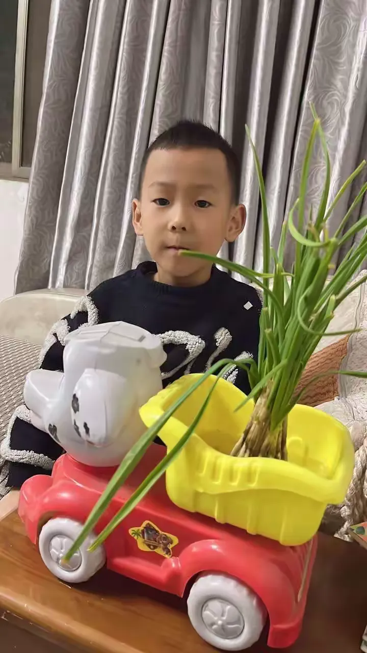 简篇-劳动砺心志,实践促成长—一(12班)水培植物活动