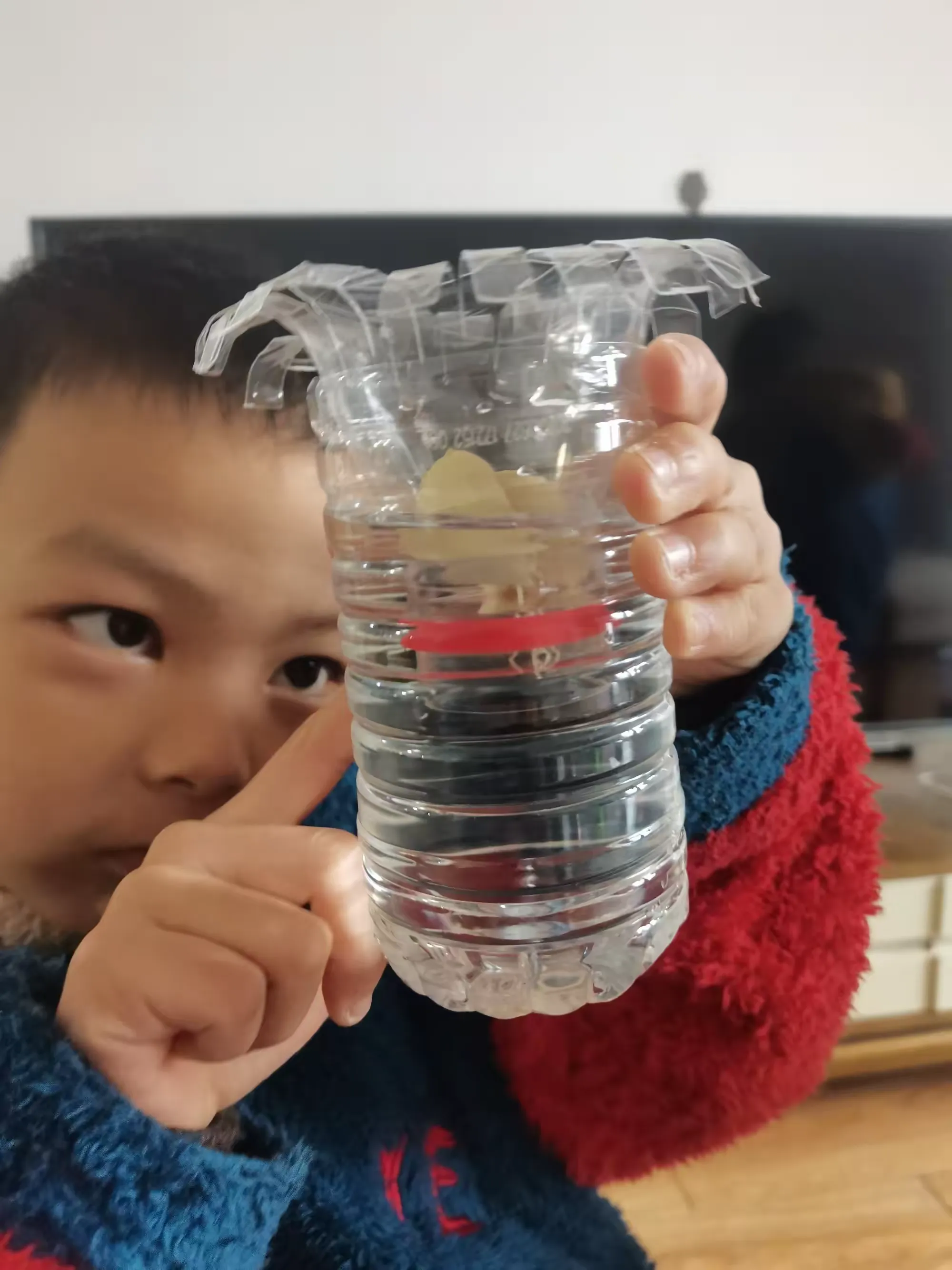 简篇-劳动砺心志,实践促成长—一(12班)水培植物活动