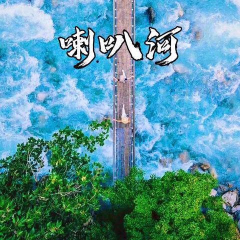 北纬30℃｜冰雪神话｜雪乡满林｜鹿野仙踪美到封神