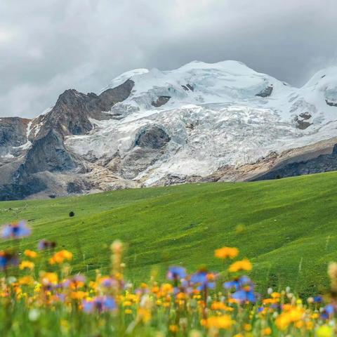 横断之心｜格聂神山转山徒步，邂逅最美雪山花海。