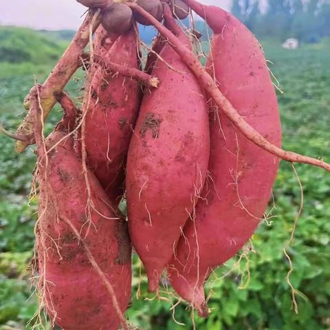 10月份  第一周