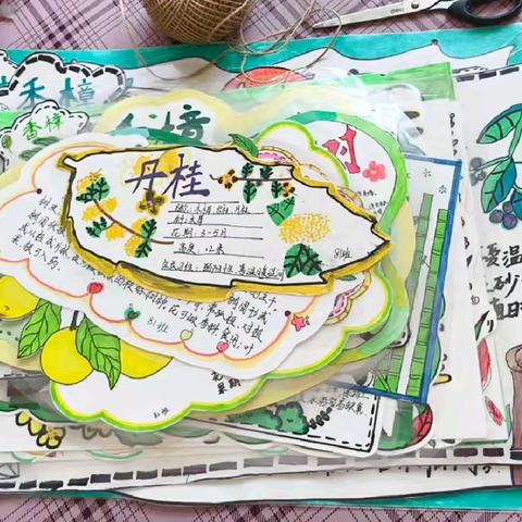 童心护绿 树说雷锋——五里牌小学树木认领行动记录