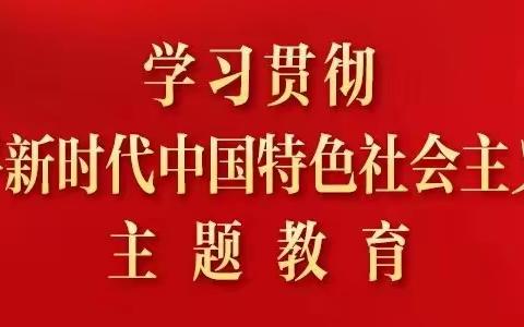 凝心聚力学思想  求真务实谱新篇——书声小学党支部主题教育工作纪实