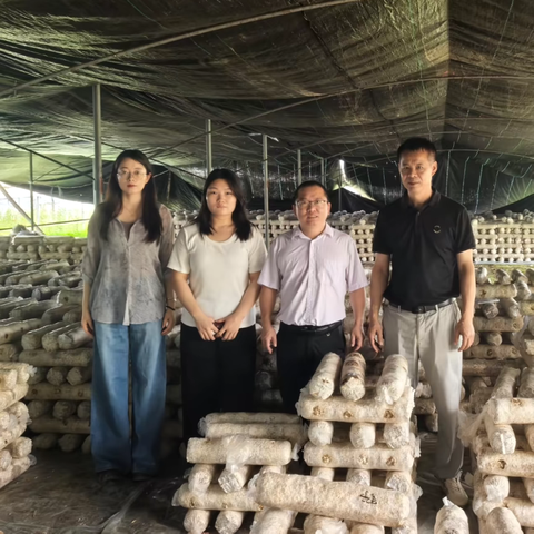 专家团队赴清流县向阳村 精准指导香菇新品种试验种植