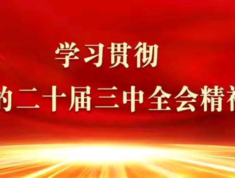 凝聚奋进力量 勇担时代使命——兴县实验小学党支部集中学习二十届三中全会精神专题会议