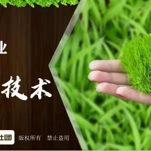 钢城小学万花筒班走进生物课堂 ——种植技术