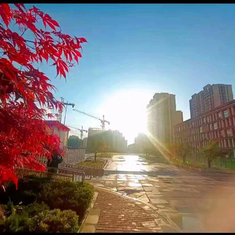 男生一楼宿舍周报（12.16～12.20）
