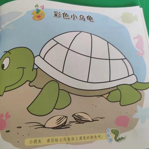 彩色小乌龟～许幼小班