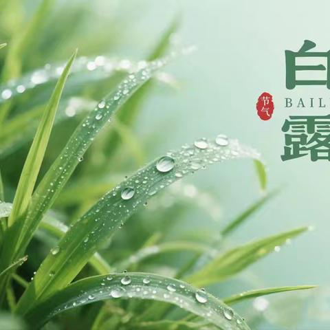 【社会主义核心价值观“我践行”】🍂 感知白露 趣享秋意🍂 官庄镇中心幼儿园二十四节气白露节气主题教育活动