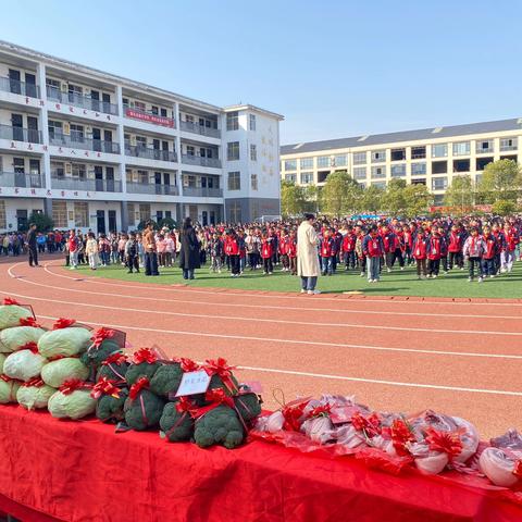 笔下生花，“英”你精彩 何市镇中小第三届英语书写比赛 ‍