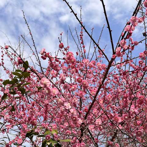 伊人༄ེ的文章