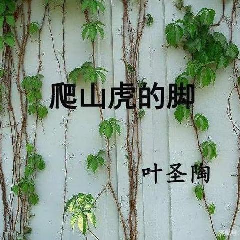 同课绽光彩，异构促成长----四年级语文组同课异构《爬山虎的脚》