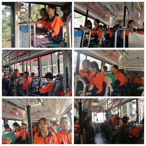 【劳动教育塑美德 科技实践育新人】----株洲市枫叶中学2307班劳动教育实践活动