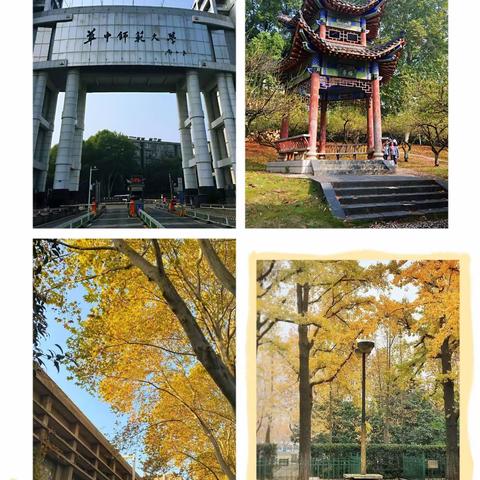 “教”学路漫漫，“研”途皆风景------2023鄂州市“国培计划”农村中小学骨干教师培训