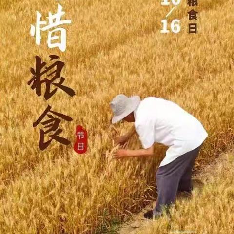 珍惜粮“缘”，不负“食”光——奇彩幼儿园世界粮食日主题活动