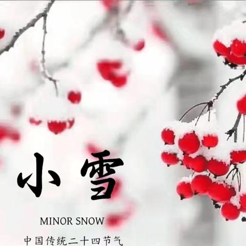 昔去雪如花，今来花似雪。 ——成田镇第一幼儿园中一班小雪节气主题活动