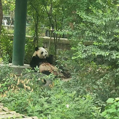 凉州医院项目部六月第二周工作简报