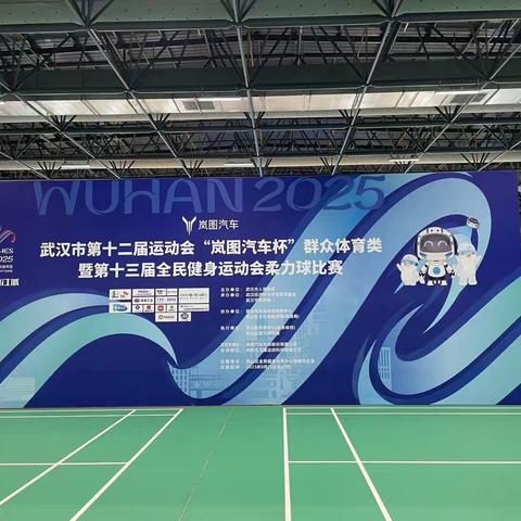 武汉市第十二届运动会网式柔力球比赛