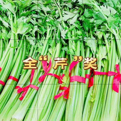 全勤宝宝齐亮相·星光熠熠耀童年——每一份坚持都值得被看见，王子岛幼儿园10月全勤宝宝