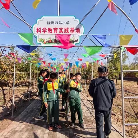 探索自然奥秘，传承农耕智慧 ——记隆湖四站小学开展冬季葡萄树剪枝和埋土科学实践活动