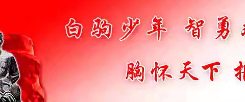 聚焦课堂提升，深化教研赋能——海南白驹学校数学组第十五周教研活动