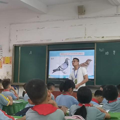 临高实习小队第七周美篇:实践课堂  提高技能