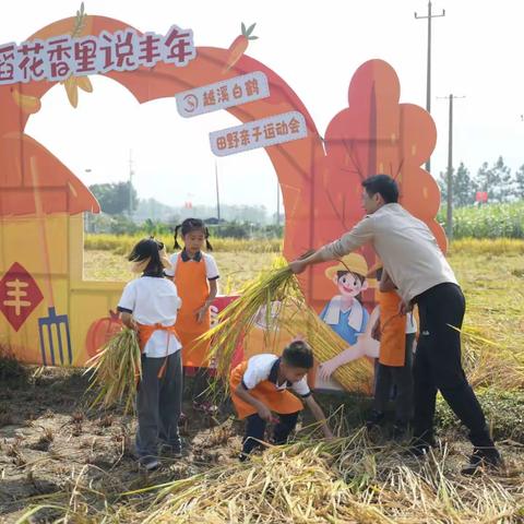 秋田遇“稻”你，丰收来“藕”遇——环城小学二(3)班启航中队秋季研学