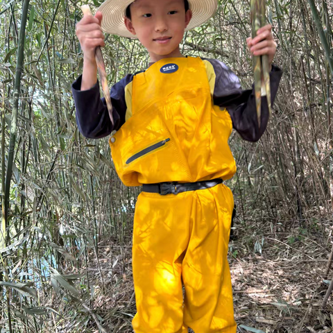 “致敬劳动者，弘扬劳动精神”劳动节主题活动方案