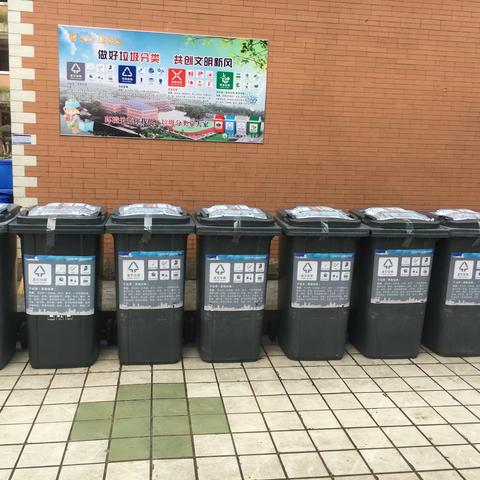 武汉市晴川初级中学“垃圾分类从我做起”主题教育活动