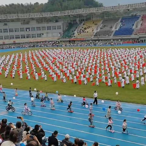 年少露风华，运动展风采——遂昌县实验小学405班秋季田径运动会记录