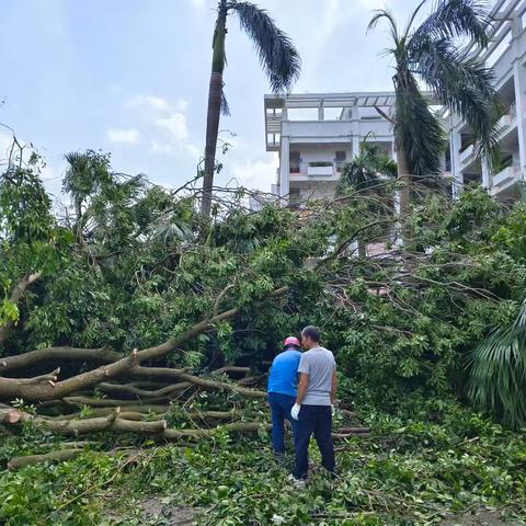 风雨同舟，携手共担——高二教师志愿者团队积极参与灾后校园恢复工作