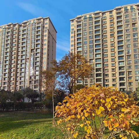 金宇名庭10月份物业服务月报