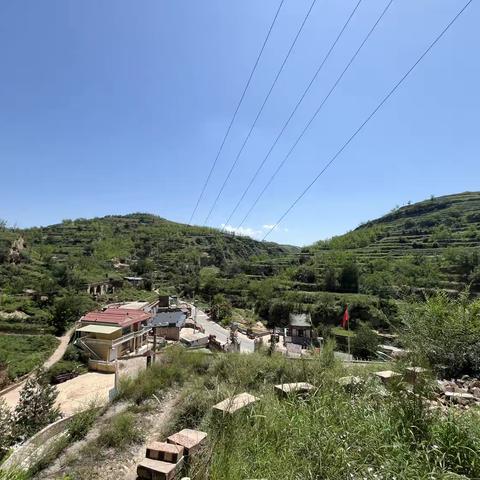 夏日送清凉：驻村工作队情暖幸福院