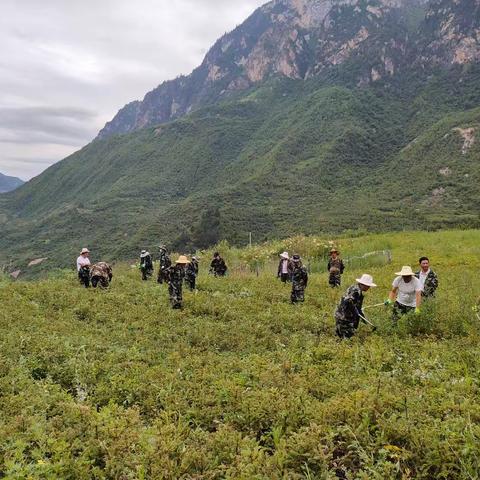 憨班保护站组织开展苗圃地义务劳动