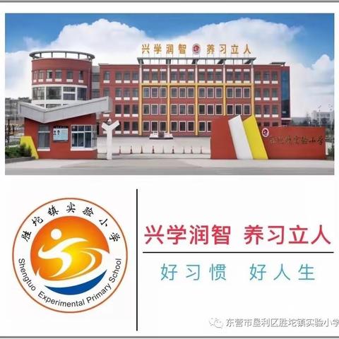 旧貌换新颜  奋斗谱新篇——胜坨镇实验小学办学条件提升及内涵发展纪实