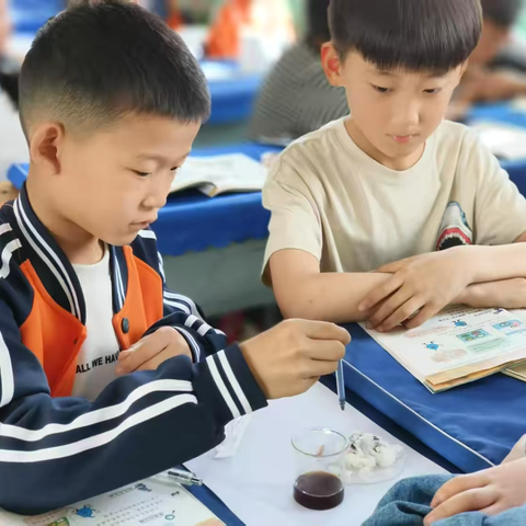 探索食物营养奥秘，共研科学课堂——大屯乡中心小学科学教研活动