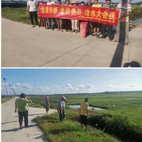 以党建为引擎，立新村“六水共治”美家园