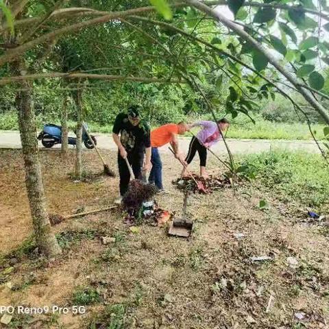 网格员与村两委，振兴工作队携手：立新辖区焕新颜，卫生整治进行时