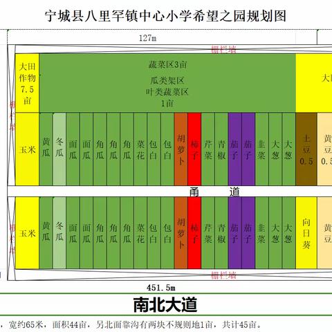 喜迎丰收|宁城县八里罕镇中心校劳动试验田丰收啦~~~